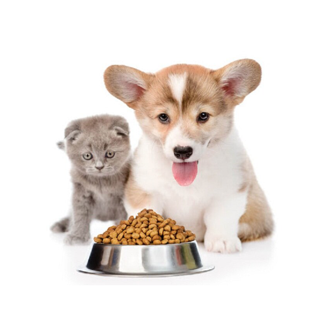 Hình ảnh cho danh mục Thức ăn cho thú cưng